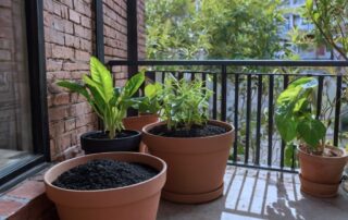 urban gardening container