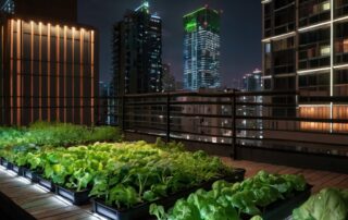 urban gardening rooftop